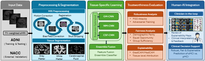 Figure 1: MRI-DeepTrust block diagram