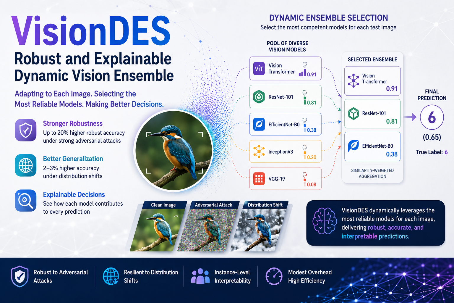 VisionDES: Robust and Explainable Dynamic Vision Ensemble