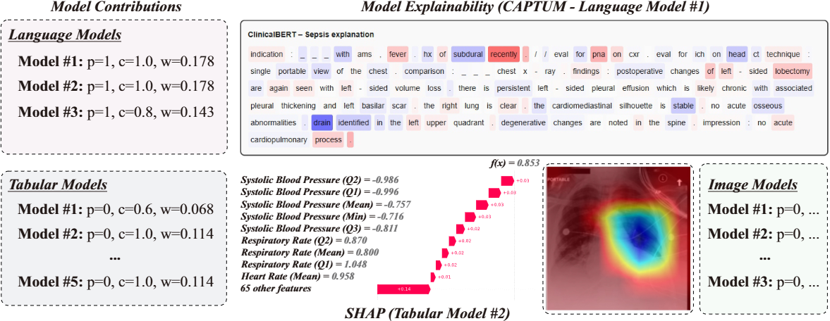 Figure 3: PAD-UFES-20 interpretability