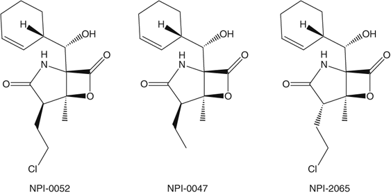 Effect of cobalt and vitamin B12 on the production of salinosporamides by Salinispora tropica