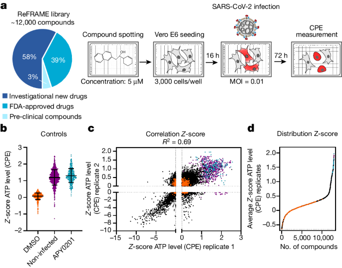 Discovery of SARS-CoV-2 antiviral drugs through large-scale compound repurposing