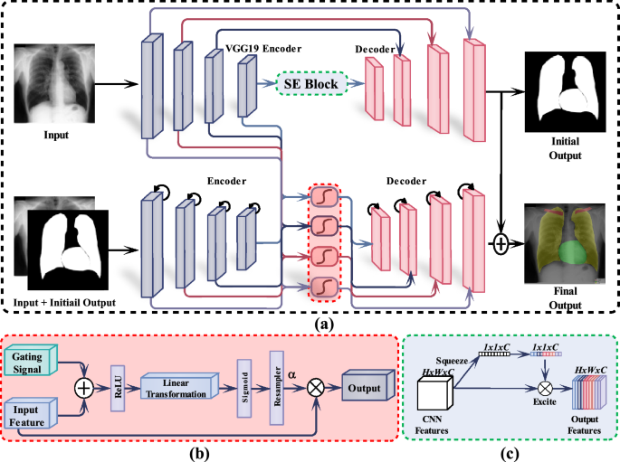 A deep learning based dual encoder–decoder framework for anatomical structure segmentation in chest X-ray images