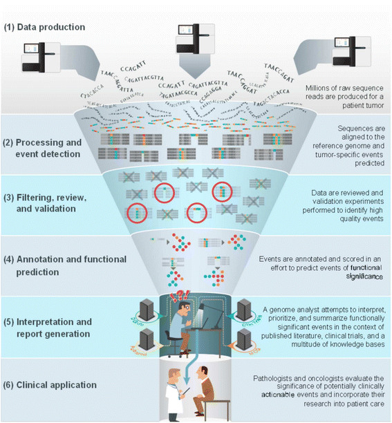 Organizing knowledge to enable personalization of medicine in cancer
