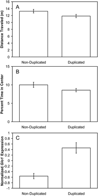A Common and Unstable Copy Number Variant Is Associated with Differences in Glo1 Expression and Anxiety-Like Behavior