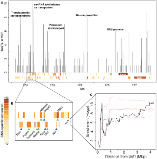 Integrative Analysis of Low- and High-Resolution eQTL