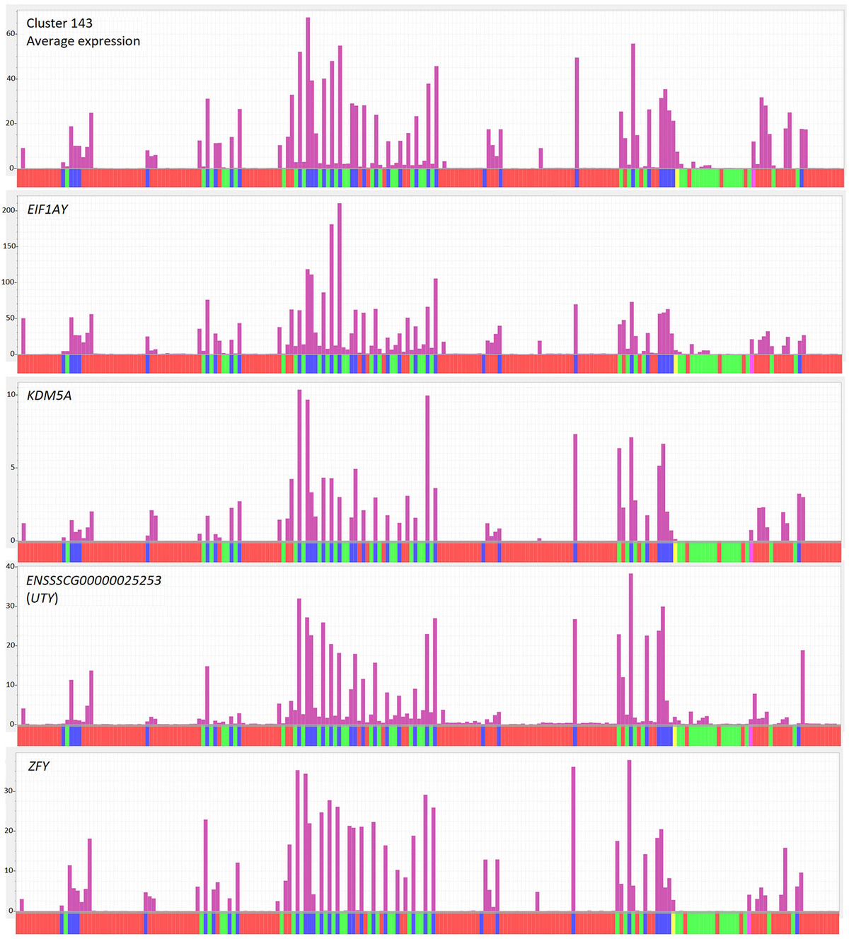 Functional Annotation of the Transcriptome of the Pig, Sus scrofa, Based Upon Network Analysis of an RNAseq Transcriptional Atlas